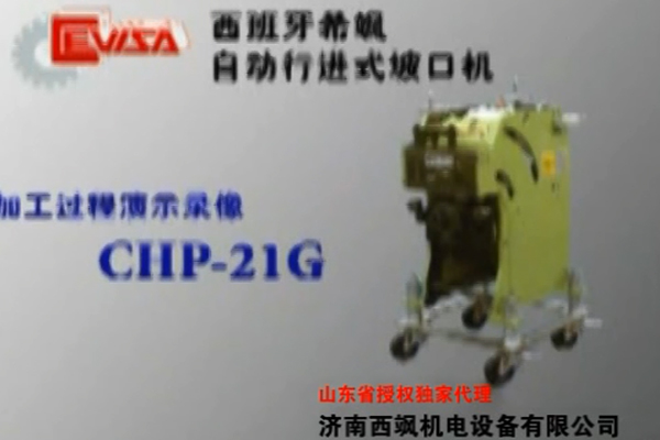 西飒-21G